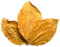 Calgary Tobacconist La Havana Vape Logo