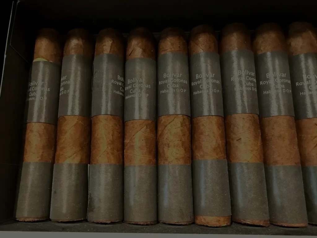 Innisfail bolivar royal coronas cigar